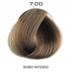 copy of copy of copy of copy of copy of copy of 1.0 Negro