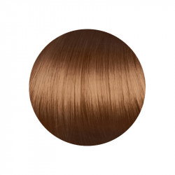 copy of copy of copy of copy of copy of 1.00 Negro