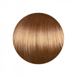 copy of copy of copy of copy of copy of copy of 1.00 Negro