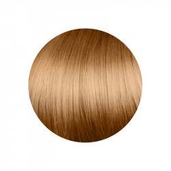 copy of copy of copy of copy of copy of copy of copy of 1.00 Negro