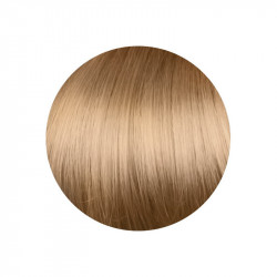 copy of copy of copy of copy of copy of copy of copy of copy of 1.00 Negro