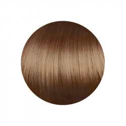 copy of copy of copy of copy of copy of copy of copy of 1.00 Negro