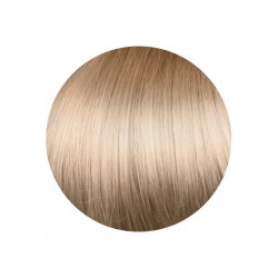 copy of copy of copy of copy of copy of copy of copy of copy of 1.00 Negro