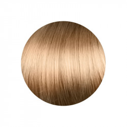 copy of copy of copy of copy of copy of copy of copy of 1.00 Negro