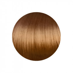 copy of copy of copy of copy of copy of copy of 1.00 Negro