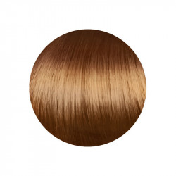 copy of copy of copy of copy of copy of copy of 1.00 Negro