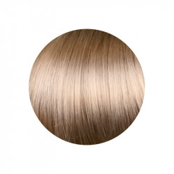 copy of copy of copy of copy of copy of copy of copy of 1.00 Negro