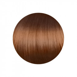 copy of copy of copy of copy of copy of copy of 1.00 Negro