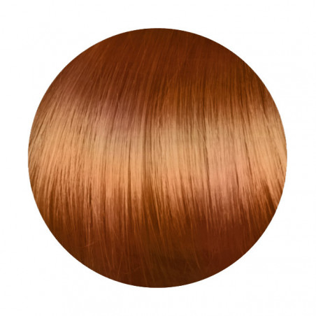 copy of copy of copy of copy of copy of copy of copy of copy of copy of 1.00 Negro