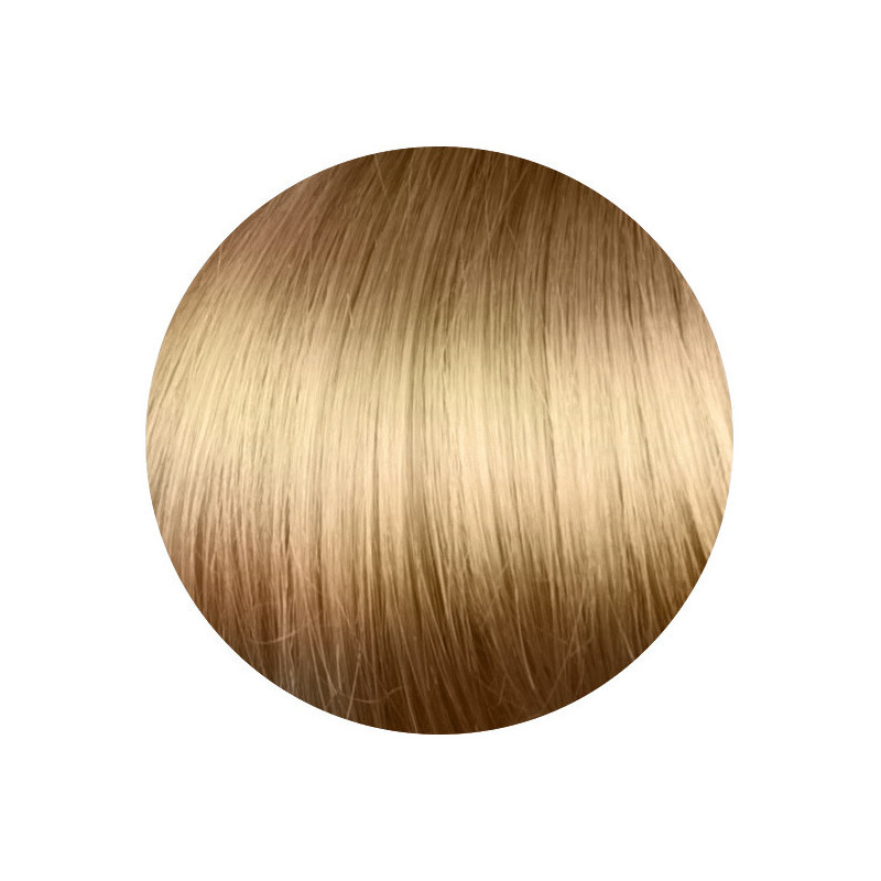 copy of copy of copy of copy of copy of copy of copy of copy of copy of copy of copy of 1.00 Negro