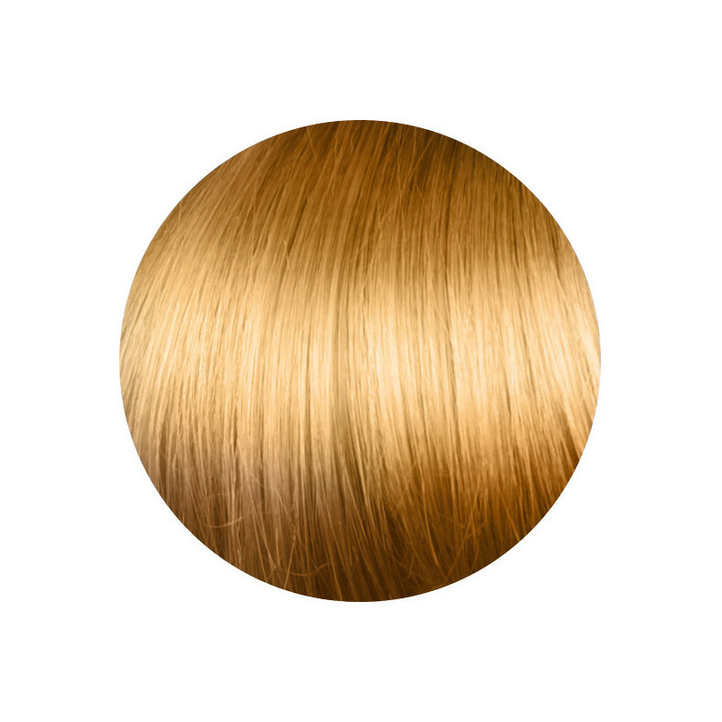 copy of copy of copy of copy of copy of copy of copy of copy of copy of copy of copy of copy of 1.00 Negro