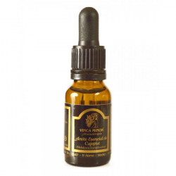 copy of copy of copy of copy of copy of copy of Ajedrea Bio